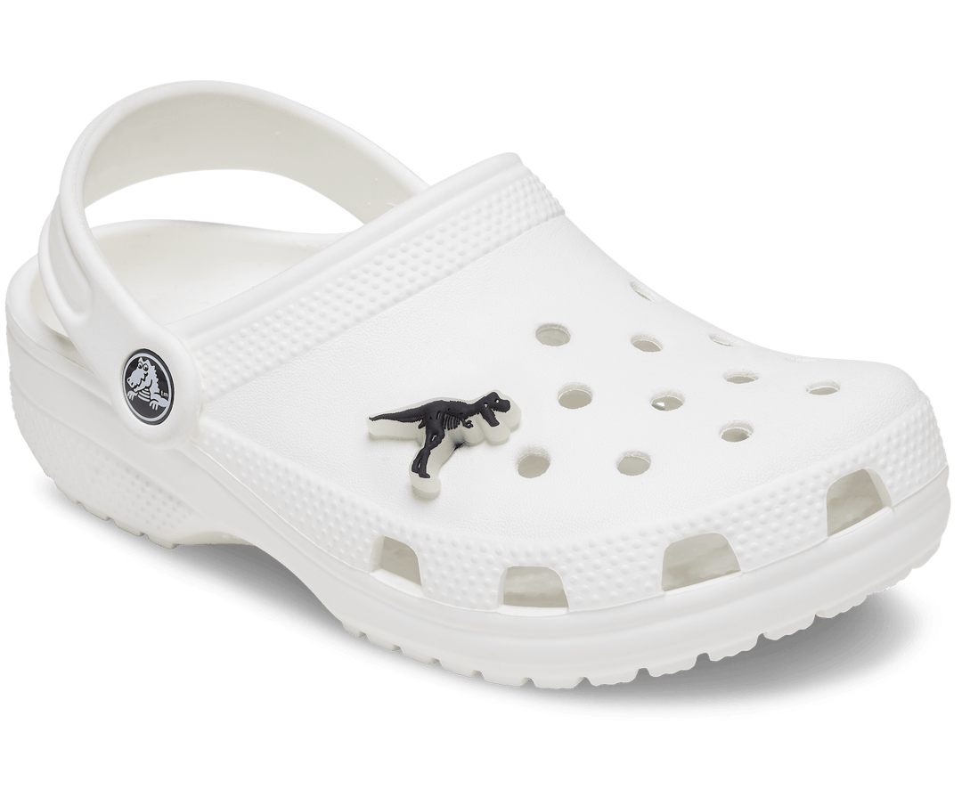 Crocs  Jibbitz