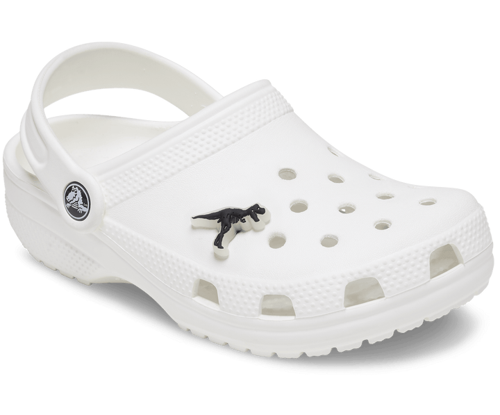 Crocs  Jibbitz