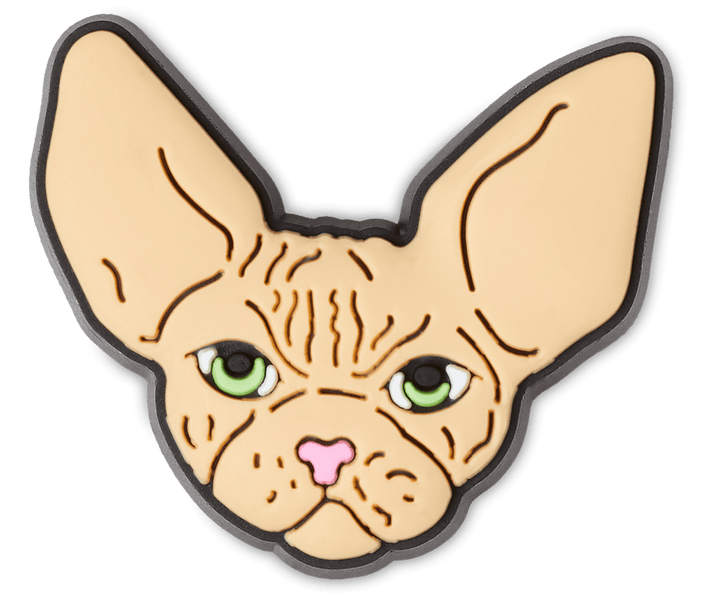 Hairless Sphynx Cat