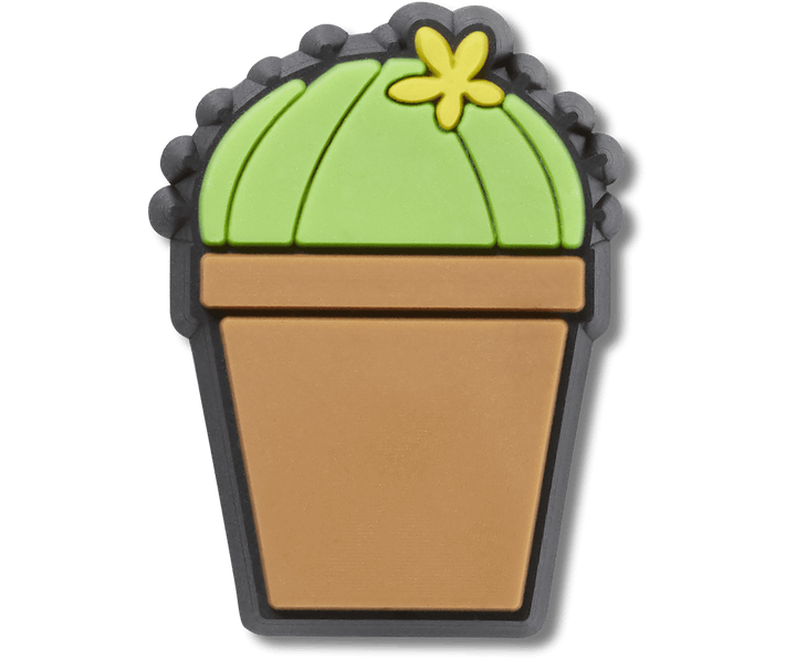 Potted Cactus