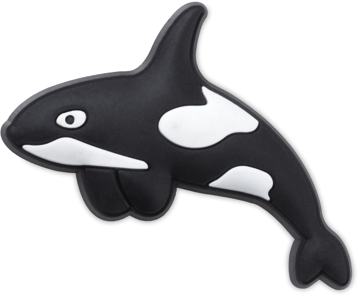 Arctic Orca