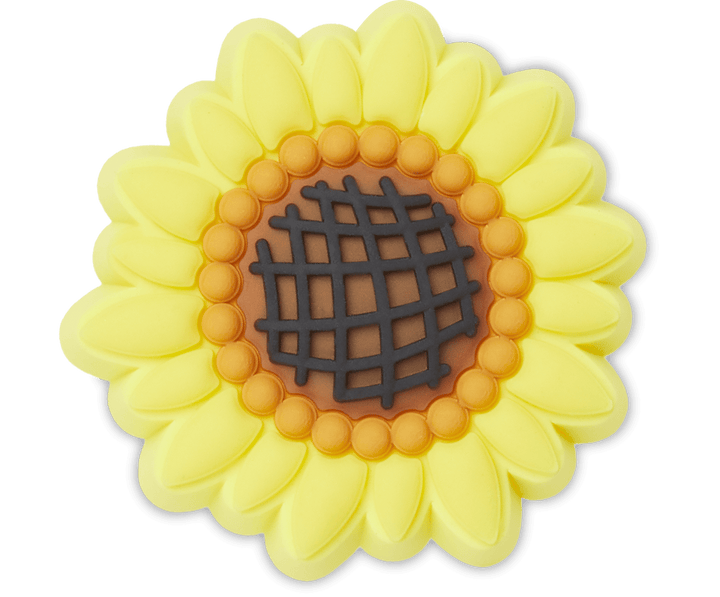 Detailed Sunflower