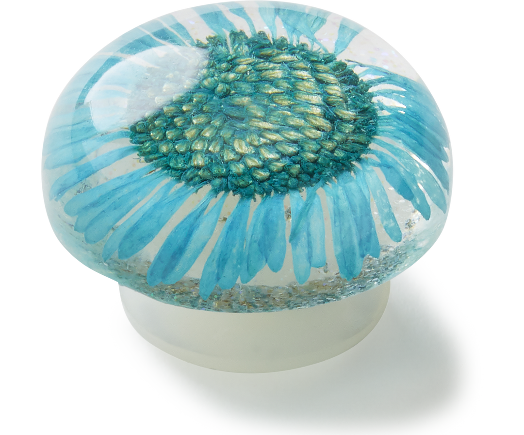 Encapsulated Blue Daisy