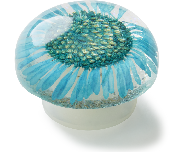 Encapsulated Blue Daisy