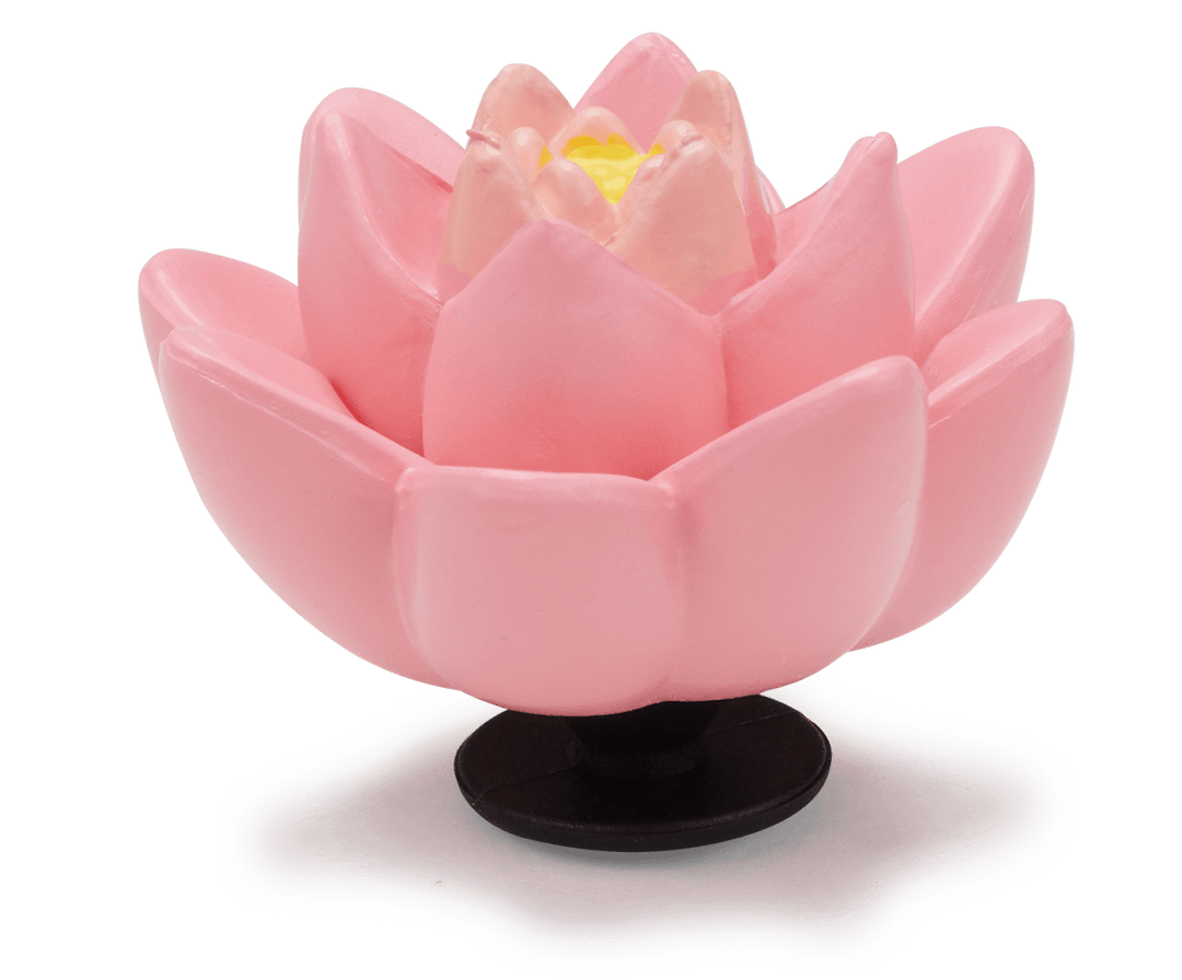 Pink Lotus