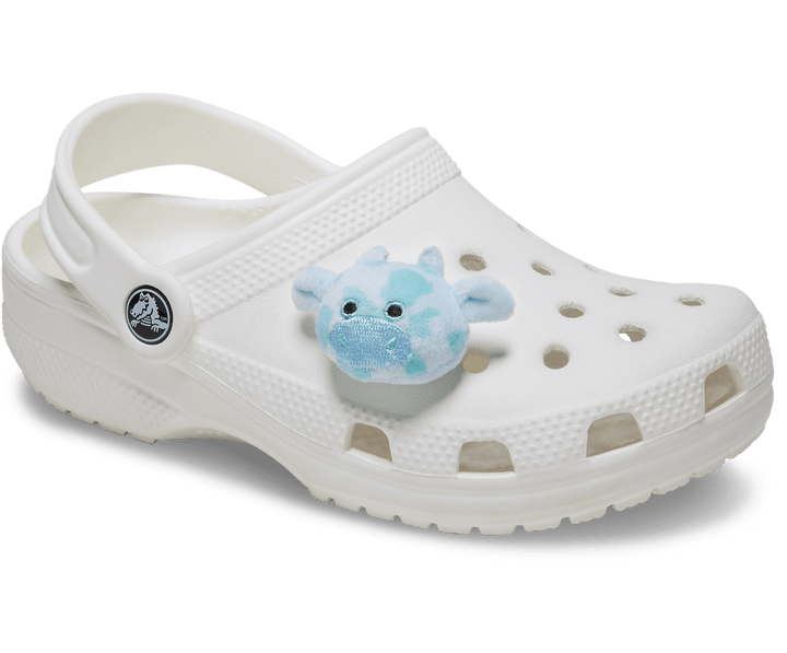 Crocs  Jibbitz