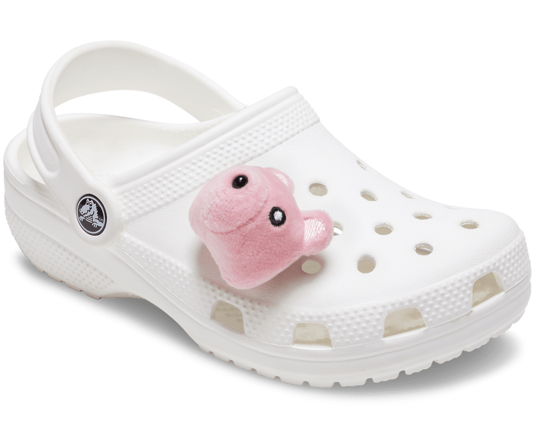 Crocs  Jibbitz