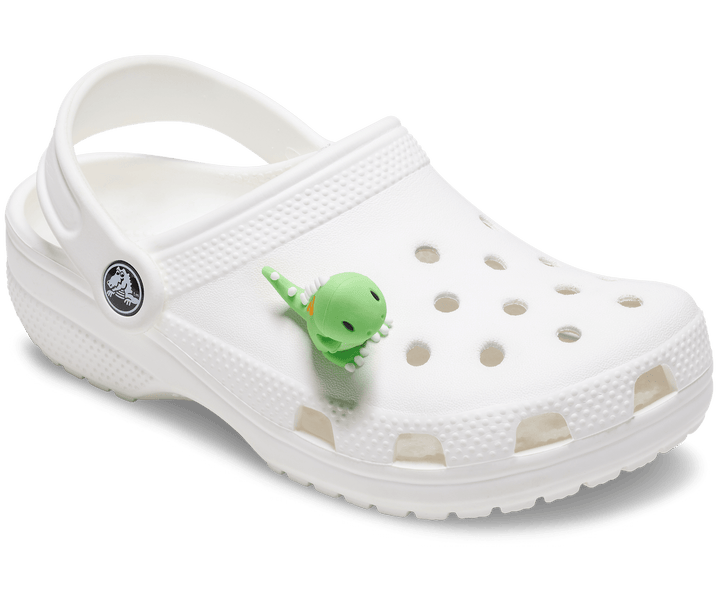 Crocs  Jibbitz