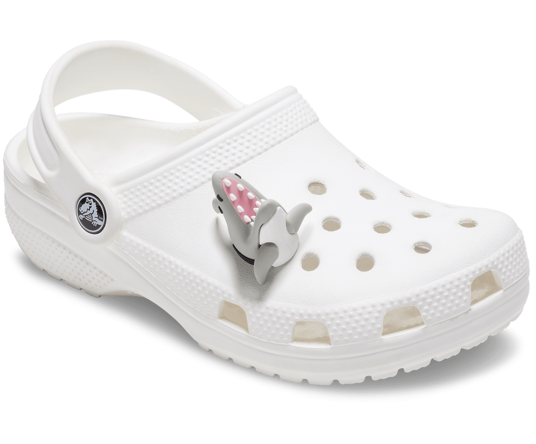 Crocs  Jibbitz