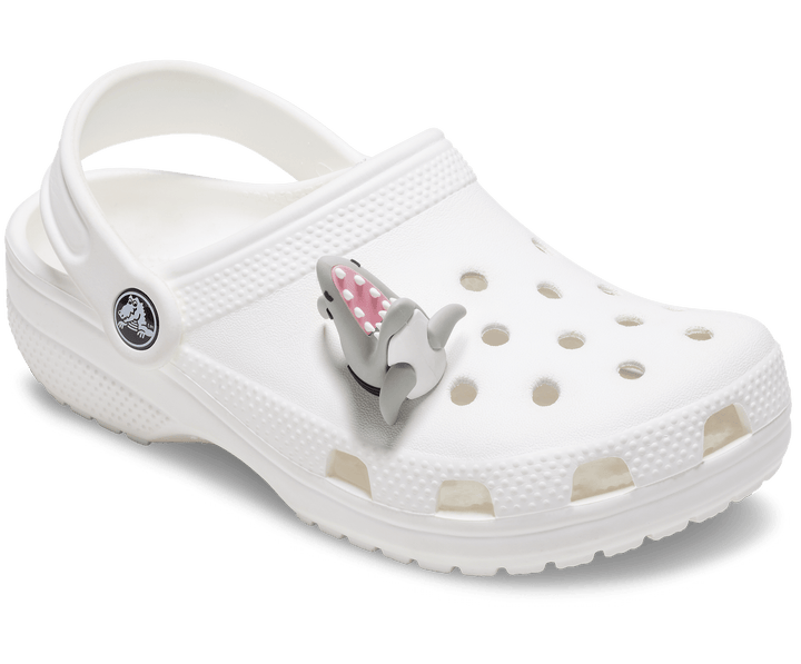 Crocs  Jibbitz