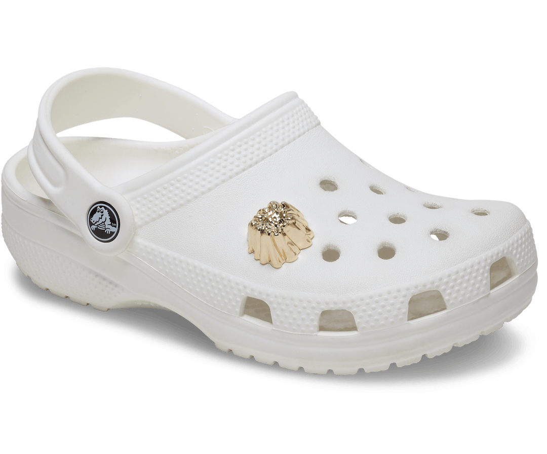 Crocs  Jibbitz