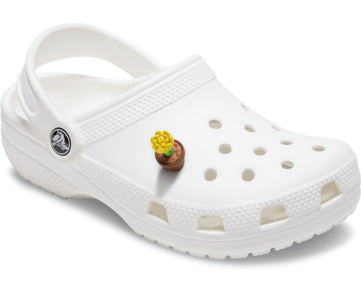 Crocs  Jibbitz