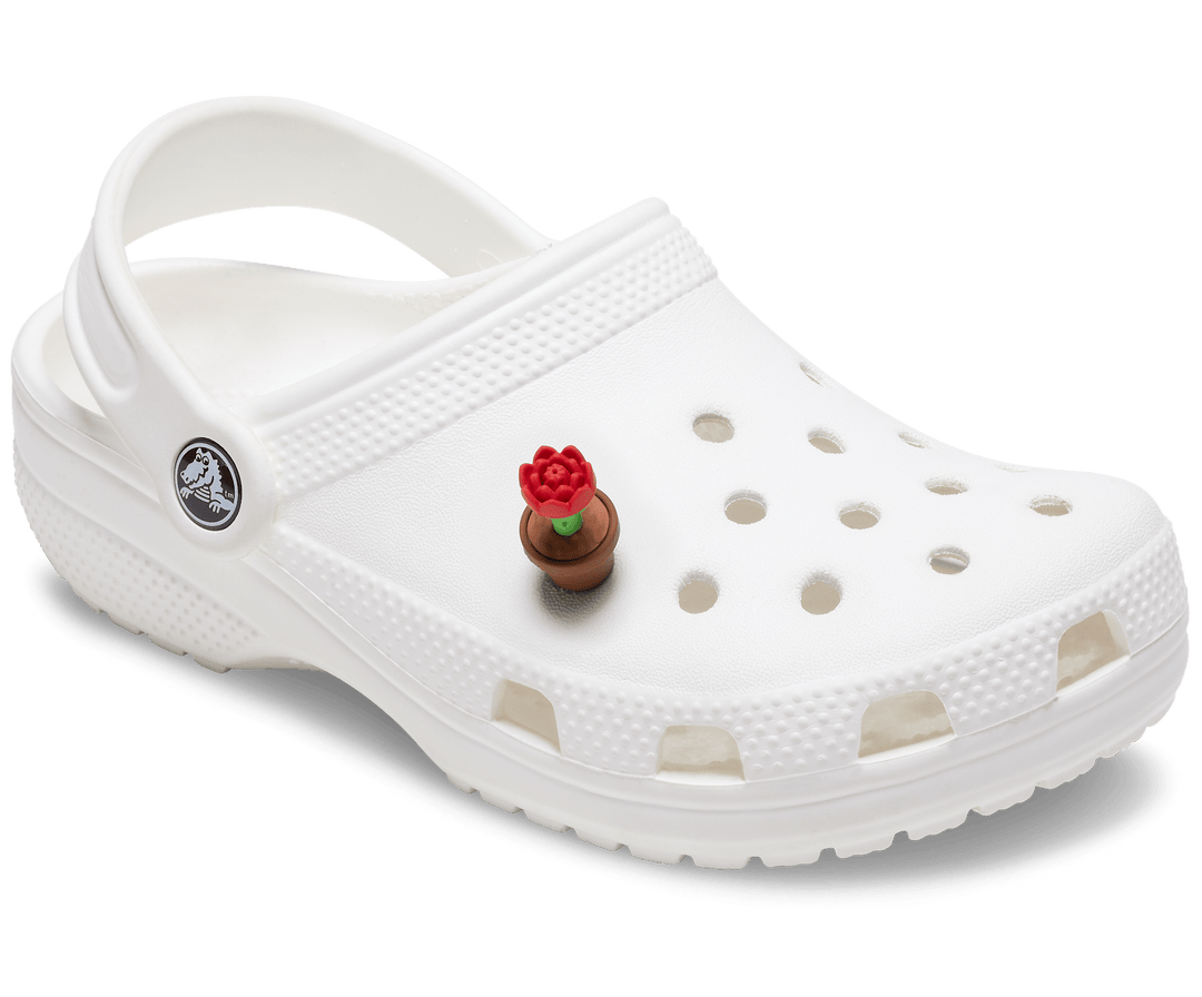 Crocs  Jibbitz