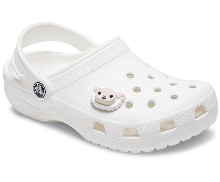 Crocs  Jibbitz