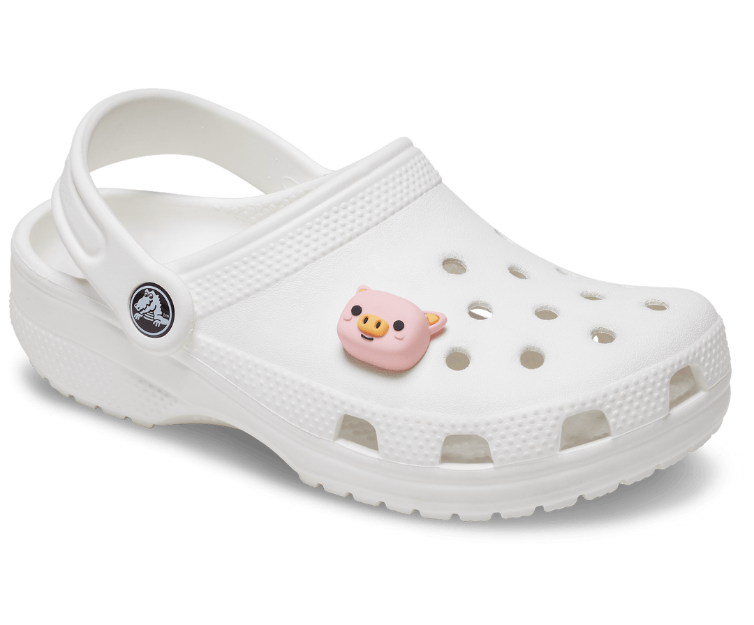 Crocs  Jibbitz