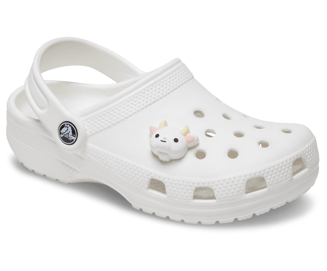 Crocs  Jibbitz