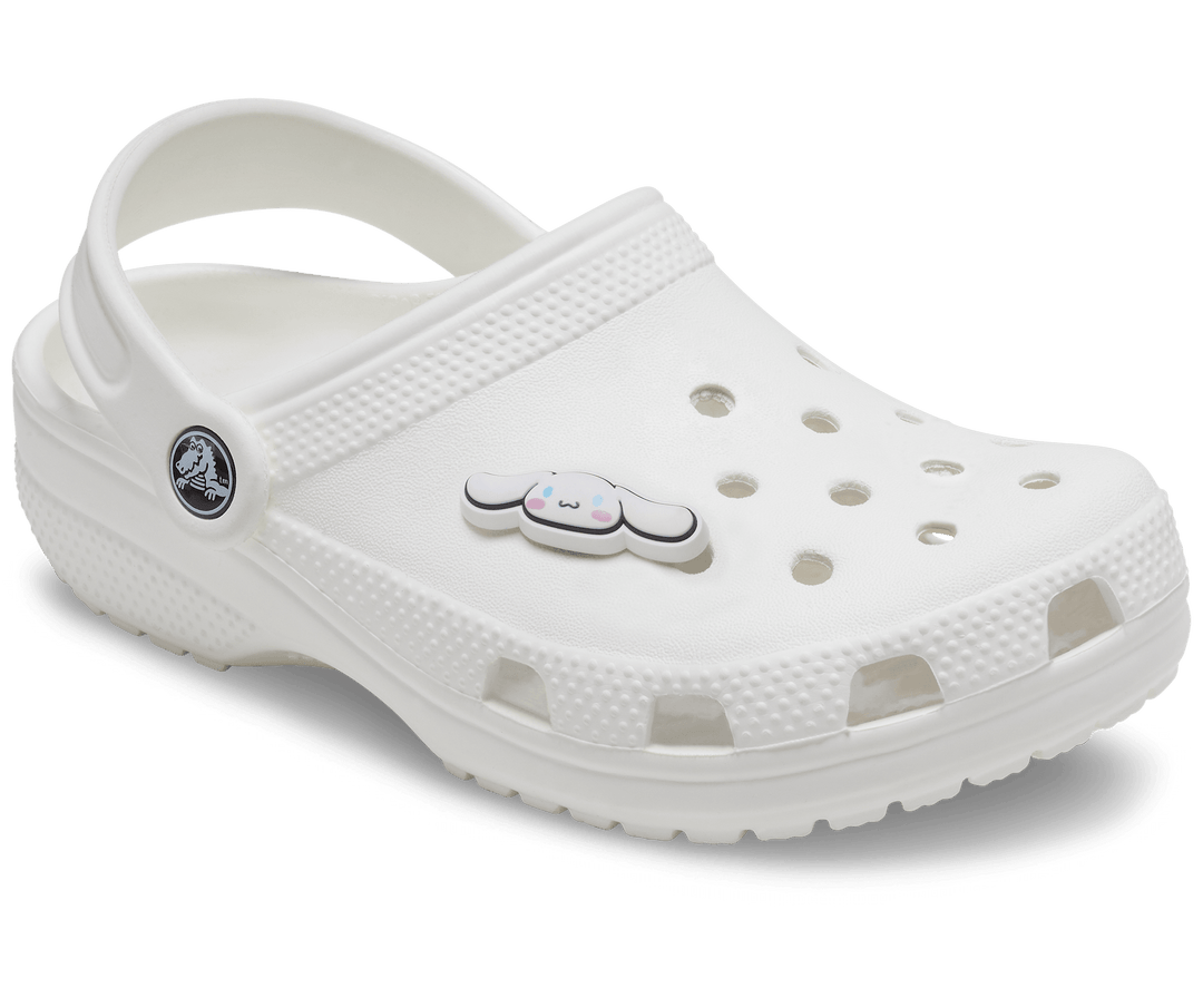 Crocs  Jibbitz