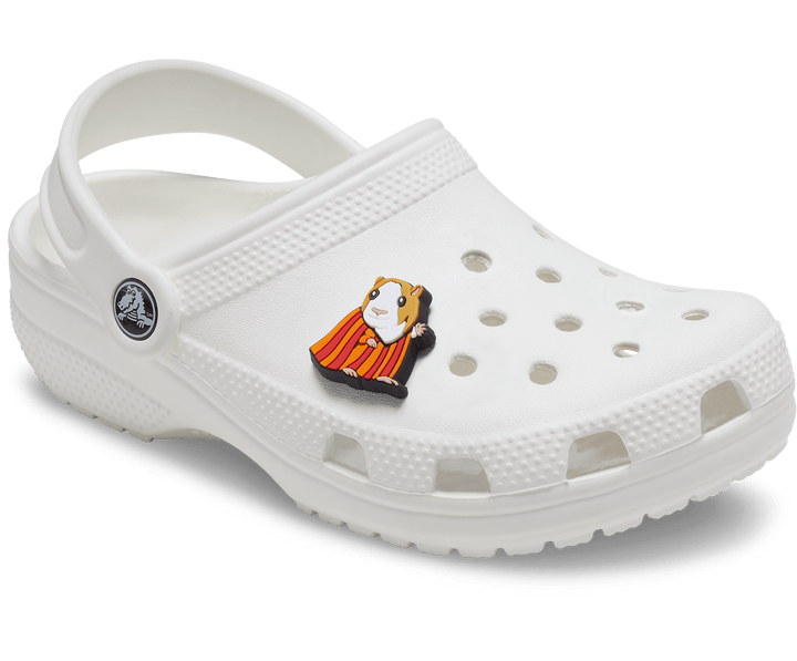 Crocs Jibbitz 