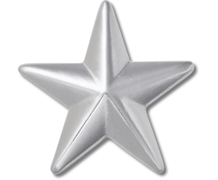 Crocs Jibbitz Gold Star Badge