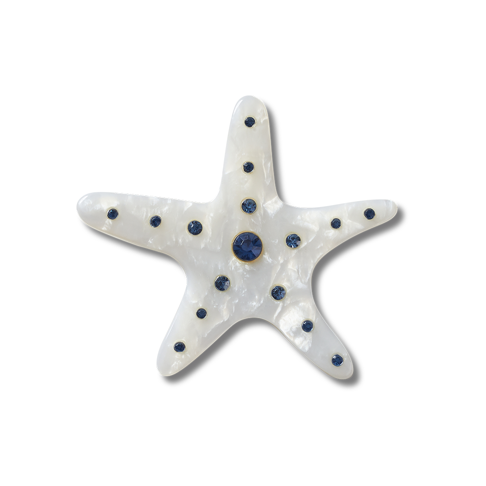 Silver Starfish