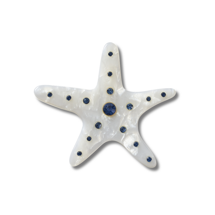 Silver Starfish