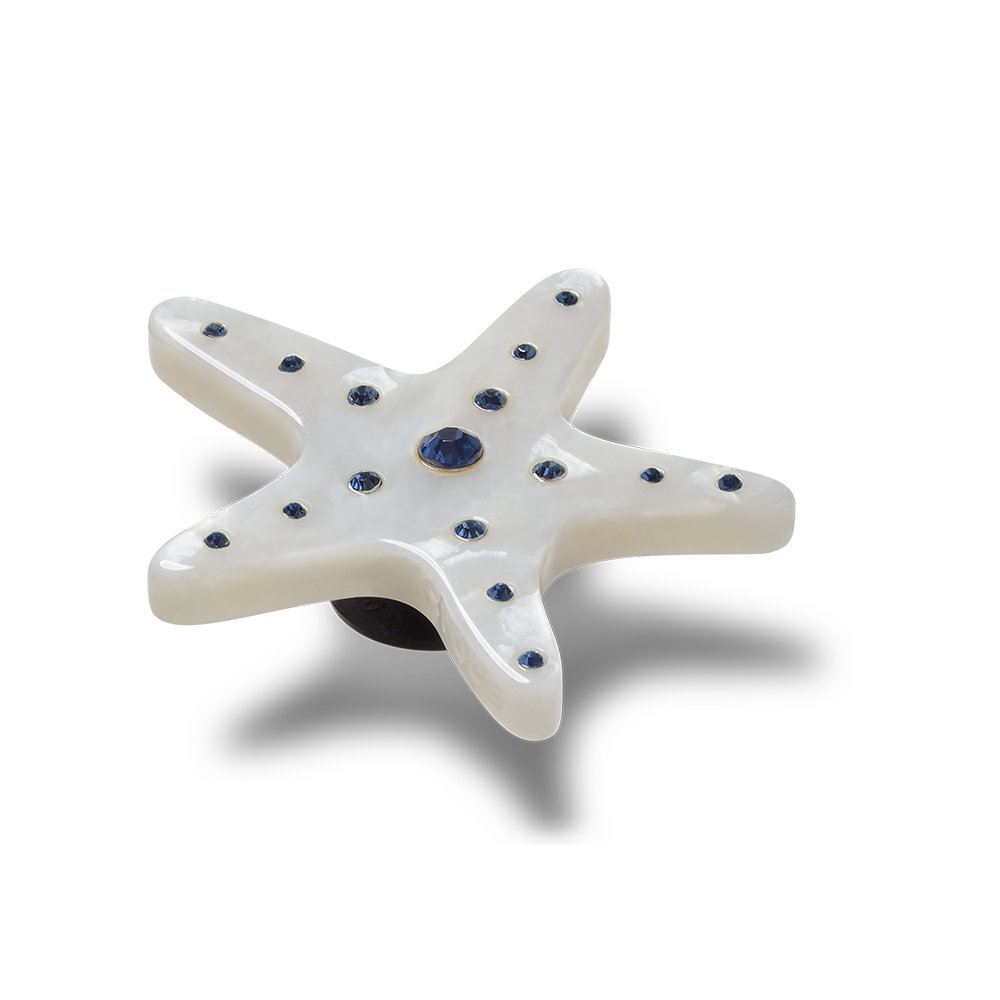 Silver Starfish