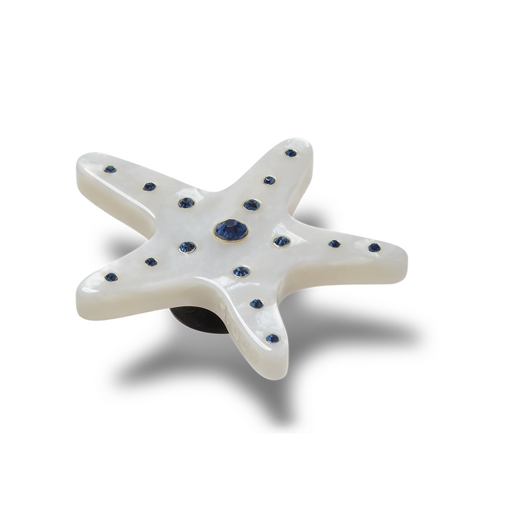 Silver Starfish