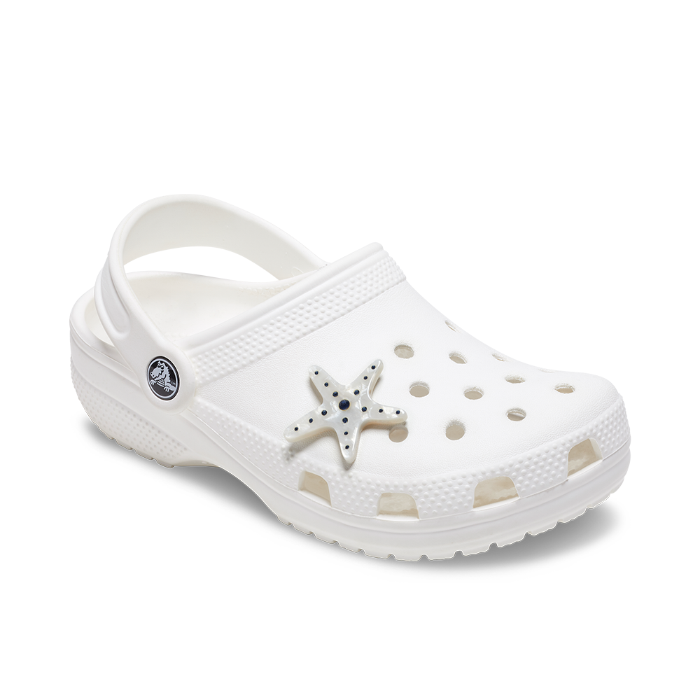 Silver Starfish