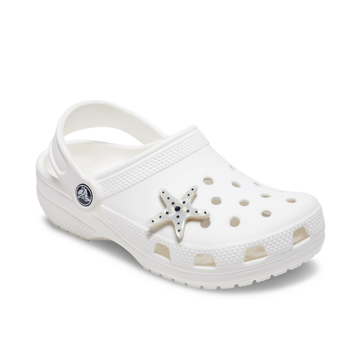 Silver Starfish