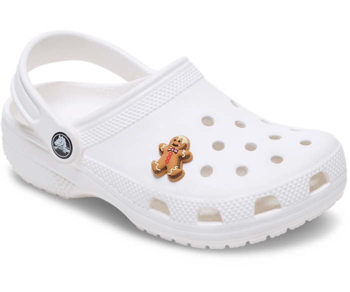 Cute Gingerbread Cookie