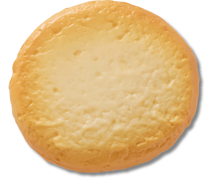 Realistic Cookie 1