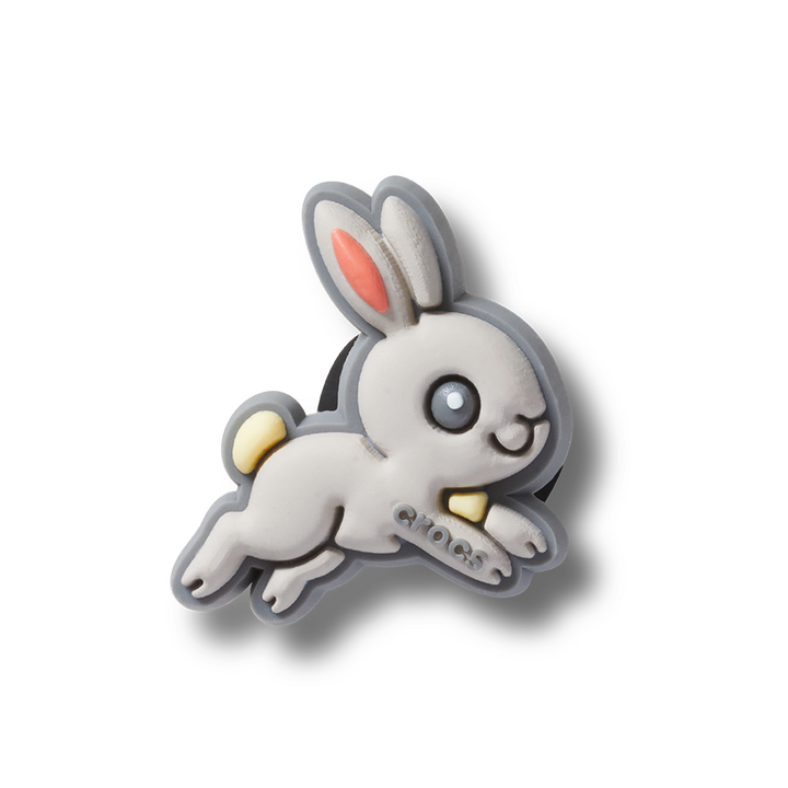Pet Bunny