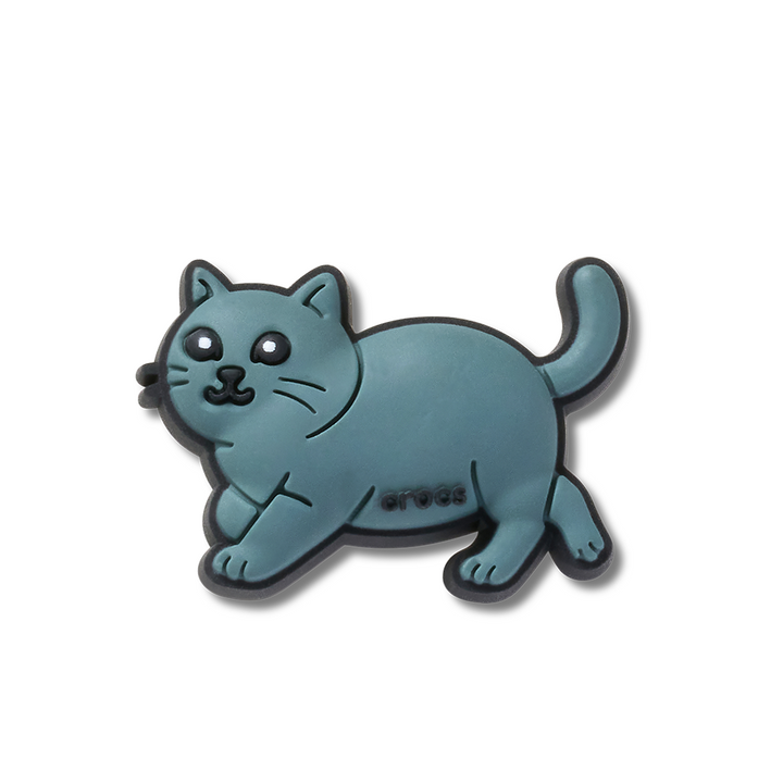 British Shorthair Cat