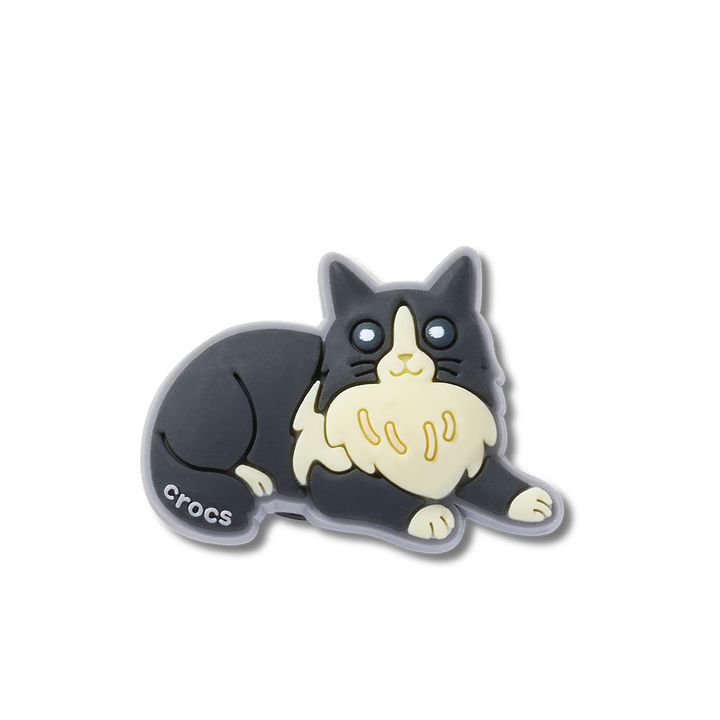 Black Cat With Boots