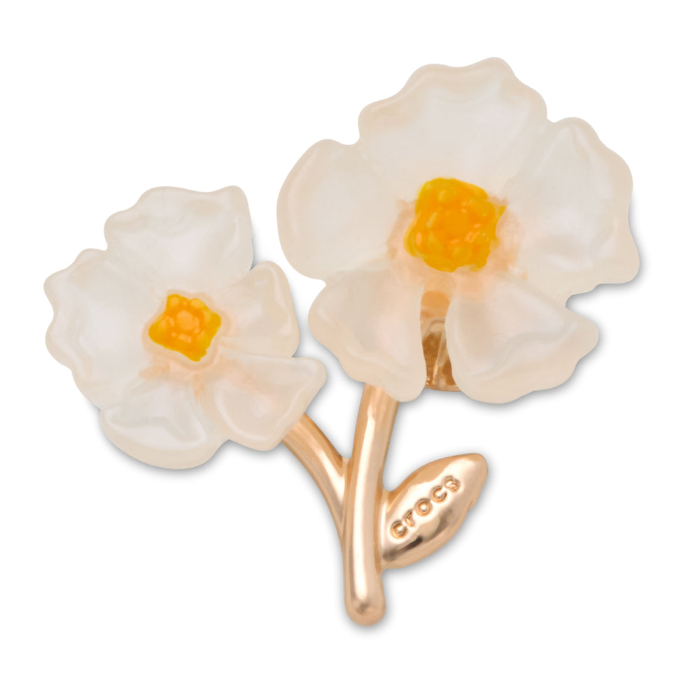 White Floral Blossom