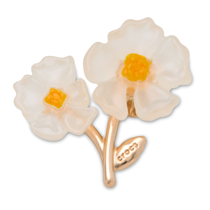 White Floral Blossom