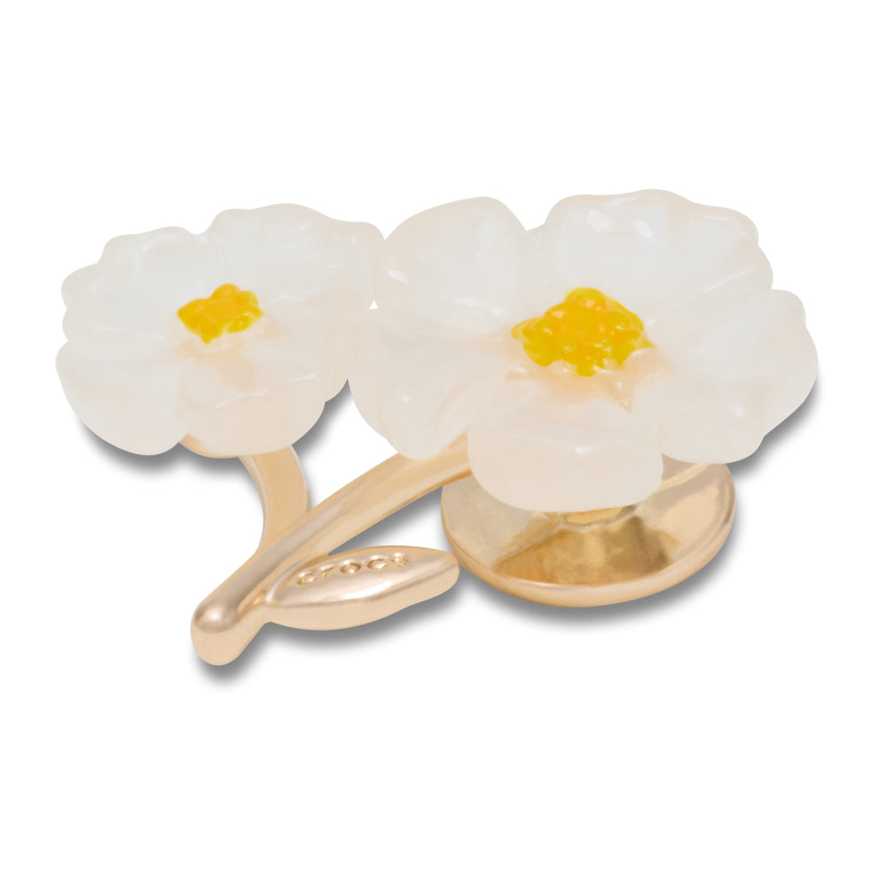 White Floral Blossom