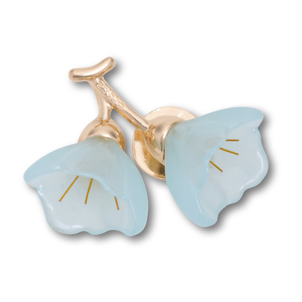 Blue and Gold Flower Blossom