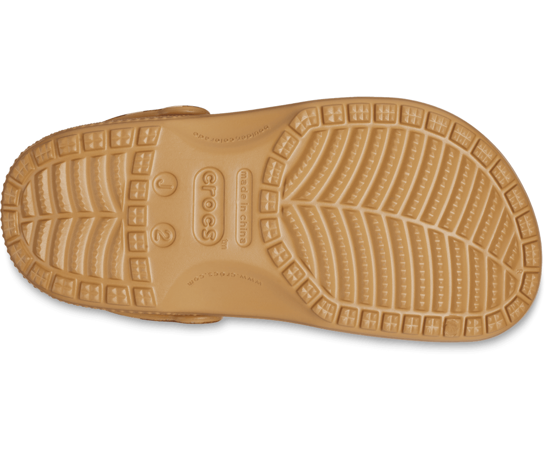 Kids' Jurassic World Classic Clog