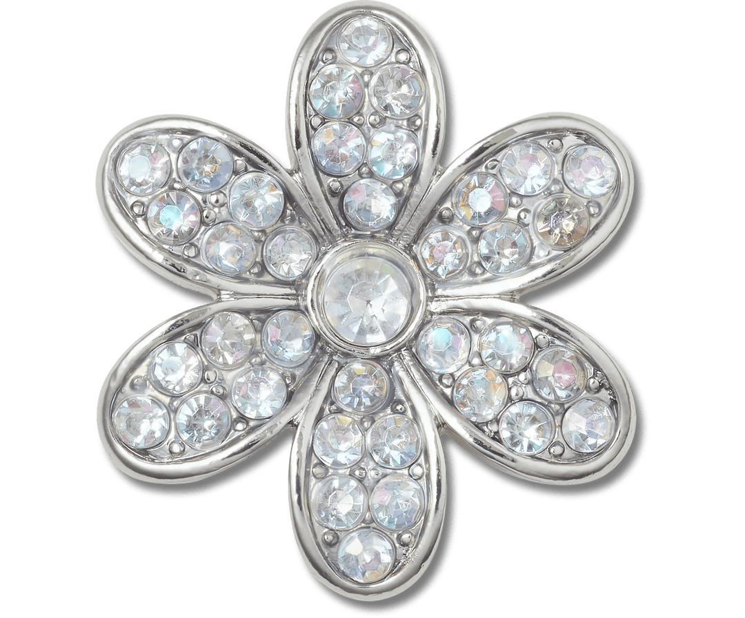 Silver Mnchrm Daisy 1