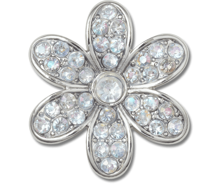 Silver Mnchrm Daisy 1