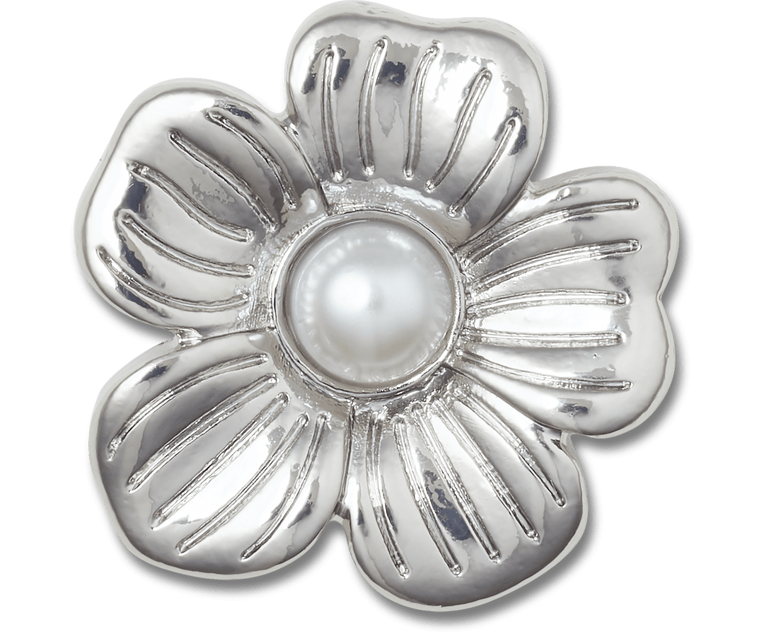 Silver Mnchrm Daisy 2