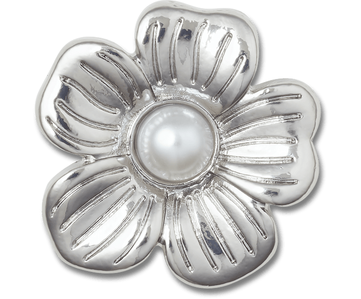 Silver Mnchrm Daisy 2