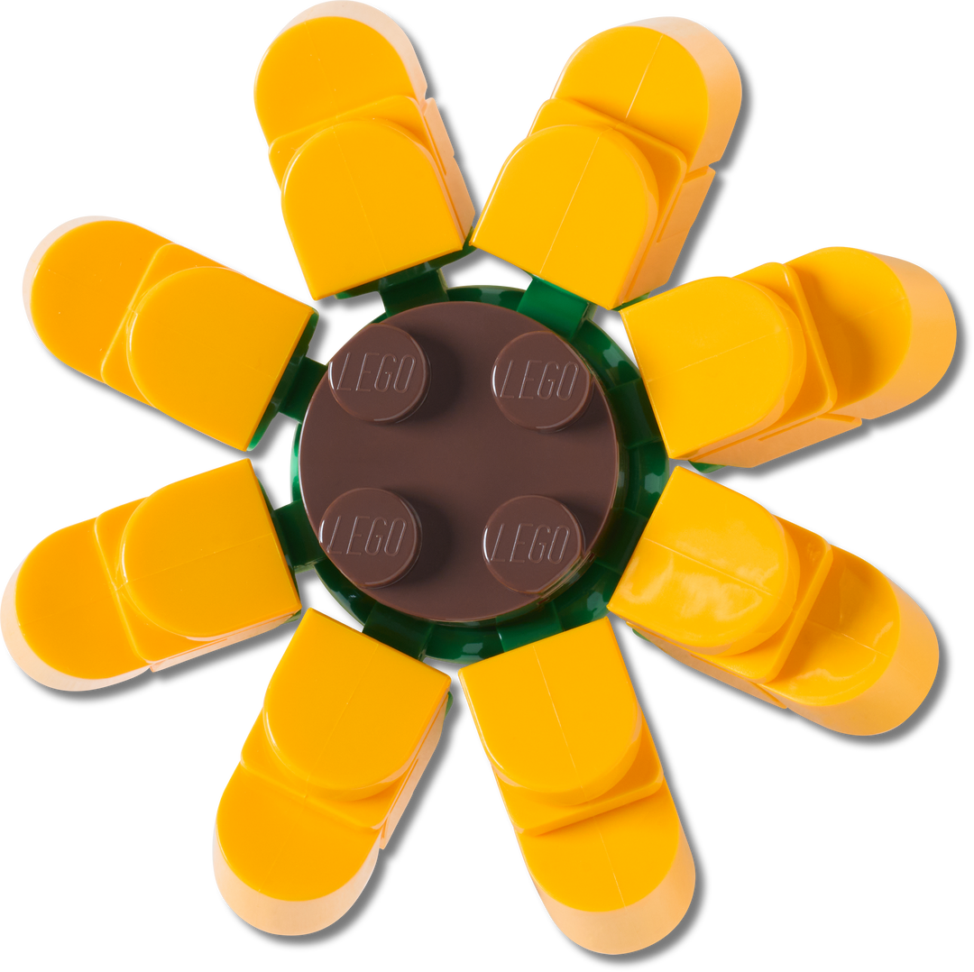 4LW Sunflower